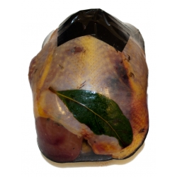 Brace of Partridge (2)